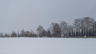 Krajobraz zimowy. Łąka pokryta śniegiem. W tle las.