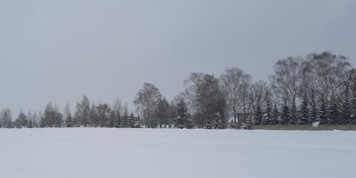 Krajobraz zimowy. Łąka pokryta śniegiem. W tle las.